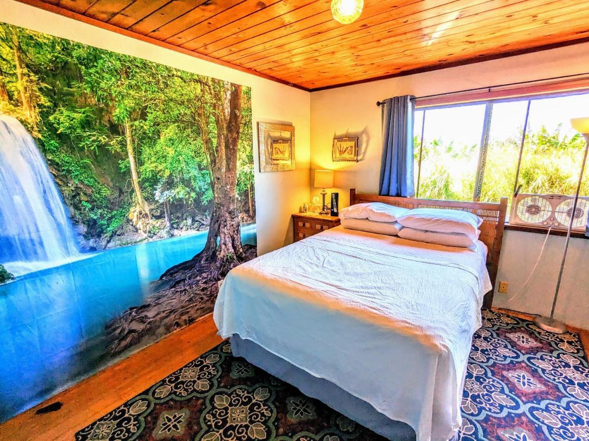 Hamakua Guesthouse Pepeekeo Exteriér fotografie