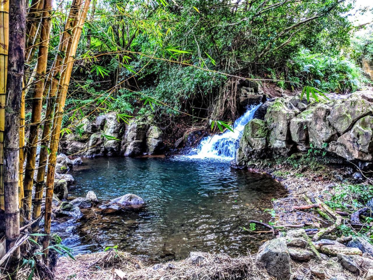 Hamakua Guesthouse Pepeekeo Exteriér fotografie